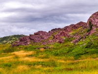 Tickle Cove